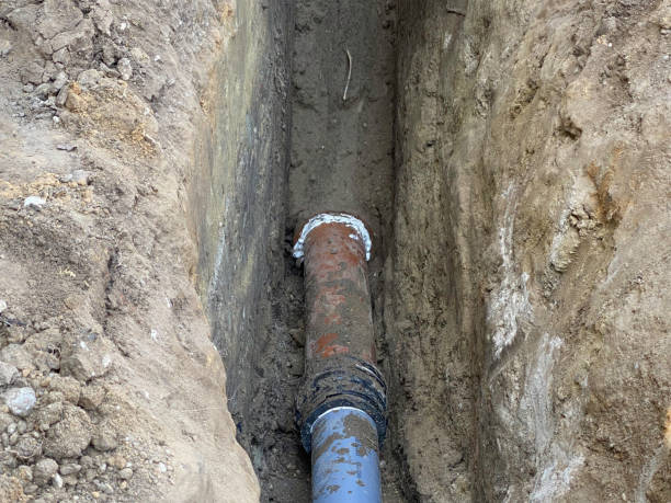 Best Emergency water damage restoration  in Ridgway, CO