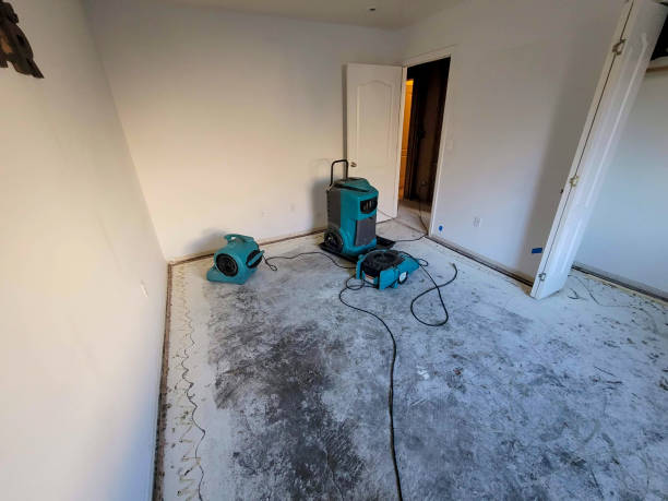 Best Water damage restoration specialists  in Ridgway, CO