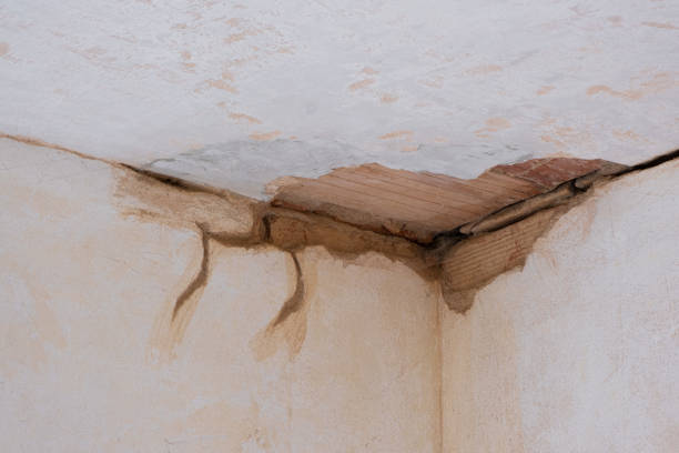Best Emergency water damage restoration  in Ridgway, CO