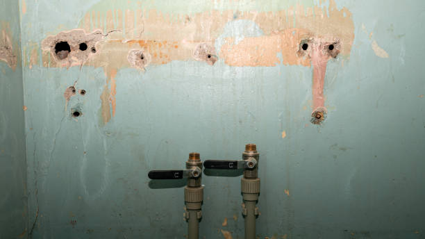 Best 24/7 water damage repair  in Ridgway, CO
