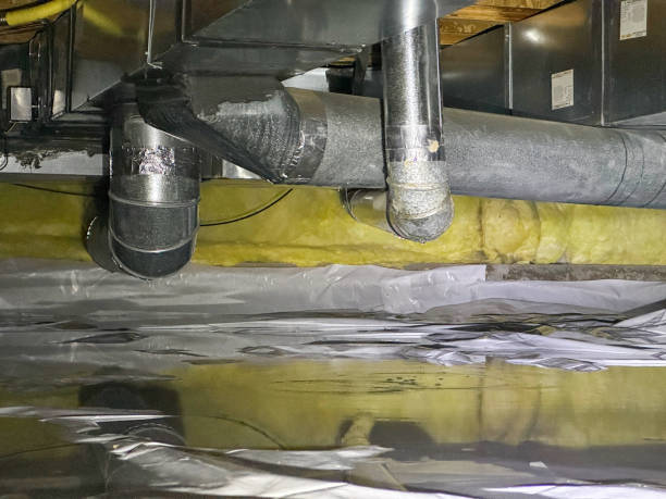 Best Water damage contractors near me  in Ridgway, CO