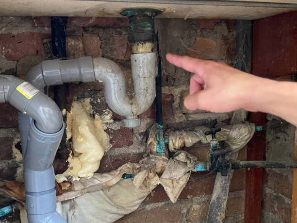 Best Carpet water damage restoration  in Ridgway, CO