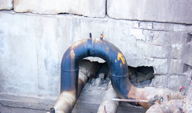 Best Local water damage restoration  in Ridgway, CO