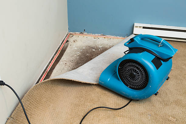 Best 24-hour water damage restoration  in Ridgway, CO